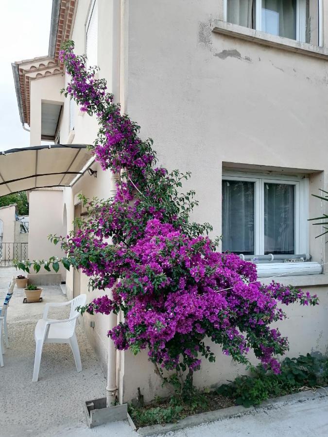 La Maison De 6Fran Appartement 2 Chaleureux Et Calme Ambiance Familiale Valros Екстериор снимка